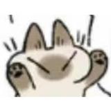 不是阿里是阿李头像