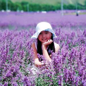 你是黄脸婆头像