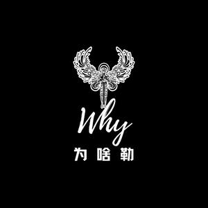 为啥勒Why头像