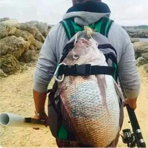 钓鱼能减肥头像
