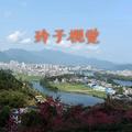 玲子视觉头像