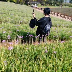 雨潇潇1头像