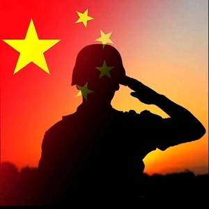 宝哥来啦头像
