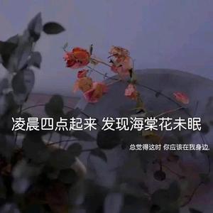 知情达理深夜头像