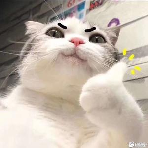 疯狂的姜啤头像
