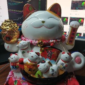 小猫咪头像