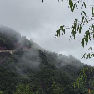 助农产品原生态头像