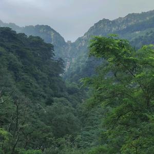 大好河山4907头像