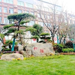 山东省菏泽第一中学逍遥散人头像