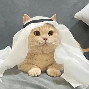 砻糠随笔头像
