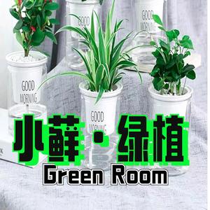 小藓家绿植花卉头像