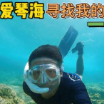 环球探海头像