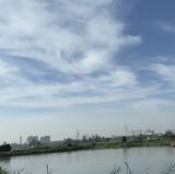 微沐北头像