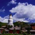 宋建国193395312头像
