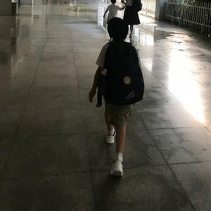 执着的向日葵头像
