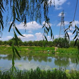 璃之夏头像