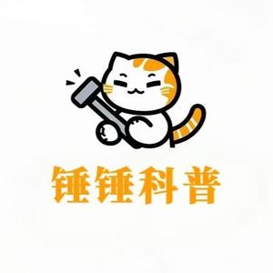 锤锤科普头像