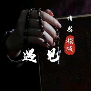 遇见情感模板创作人头像