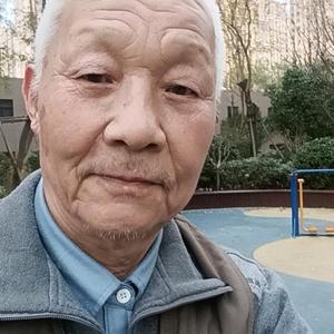 zh祥云野鹤头像