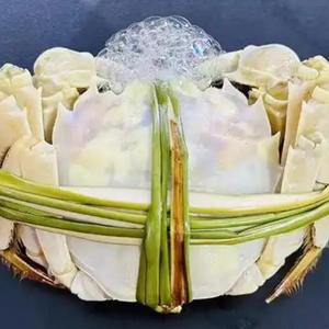 蟹如愿头像