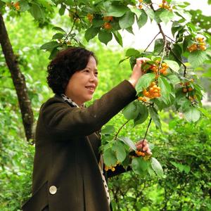 殷殷屯屯之家头像