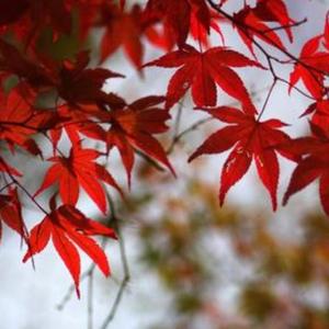 退休生活头像