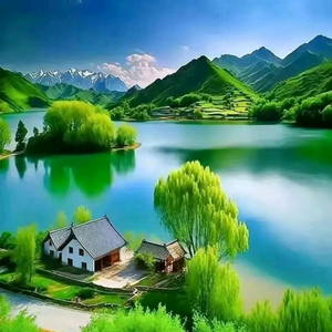 菩提通透头像