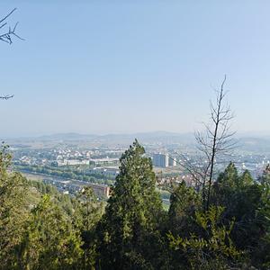 小杨大讲堂头像