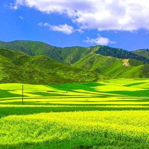 顺风顺水顺达头像