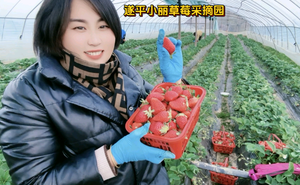 遂平韩丽家庭农场专业育苗头像