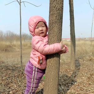 露宝儿的农村生活 头像