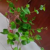 足智多谋的韭菜盒子头像