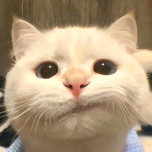 中二病晚期头像