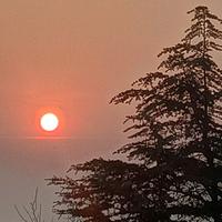 森林哥204524187头像