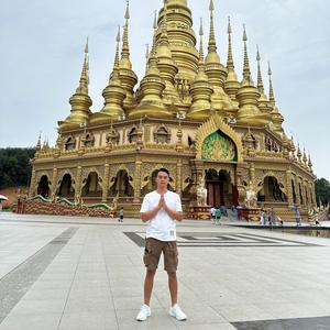 云南大叶种头像