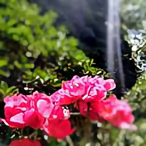 诗花茶话头像