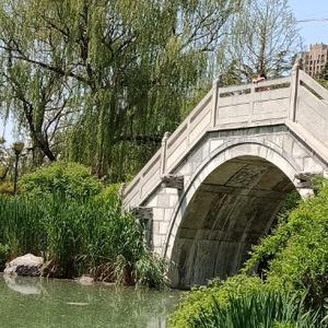 起个名字太难了头像