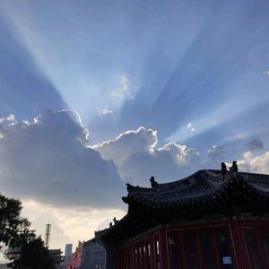 哈哈兔z头像