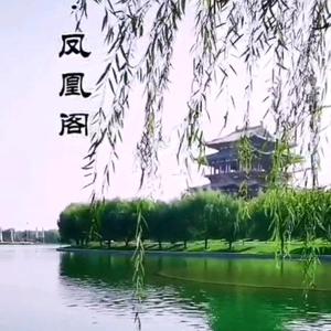 镜观成安(编导）头像