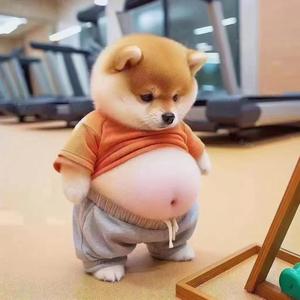 满村驴圈数我最犟头像
