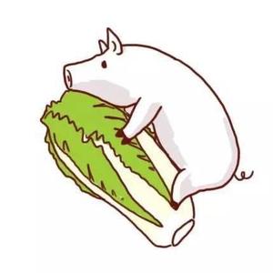 白菜白菜猪来拱头像