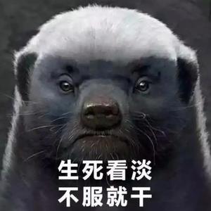 平头哥搞笑配音头像