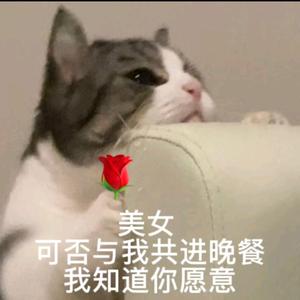 知稳头像