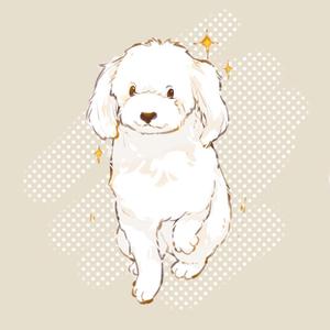 禾申头像