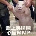 蒙城新丰农资王伟强头像