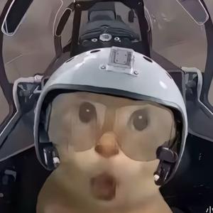 猫meme小剧场头像