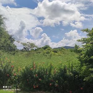 涵菱头像