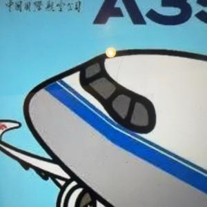 一架不想降落的A350头像