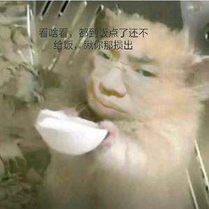 杂交游戏全头像