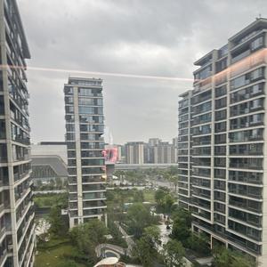 北门老林头像